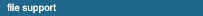 file support